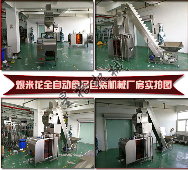 瓶装全自动酱料灌装机